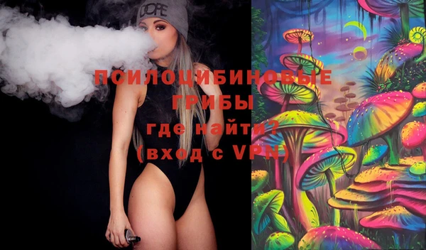 прущий лед Алзамай