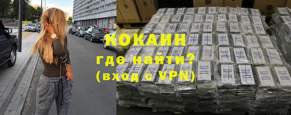 прущий лед Алзамай
