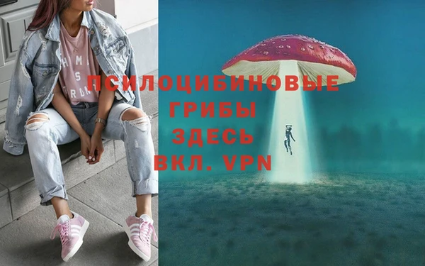 экстази Алексеевка