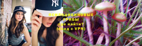 прущий лед Алзамай