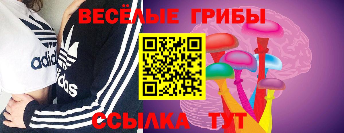Новоалтайск  Галлюциногенные грибы ЛСД  Вход с VPN 