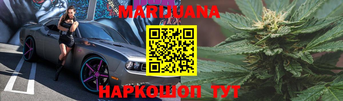 Конопля марихуана Новоалтайск